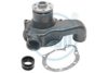 LASO 20200009A Water Pump